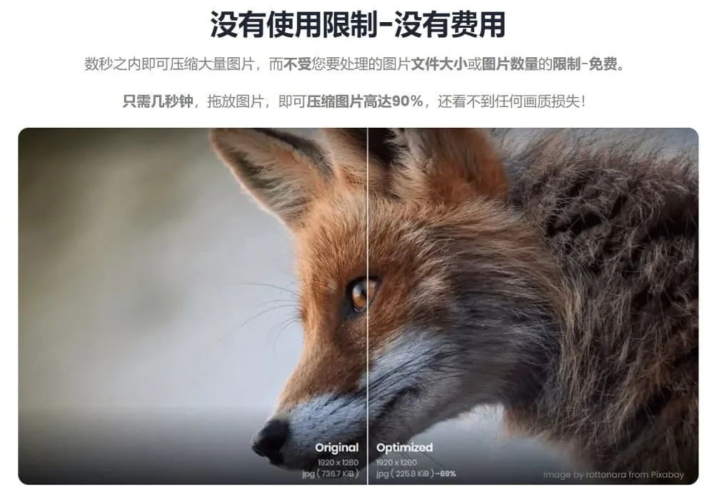 online image tool