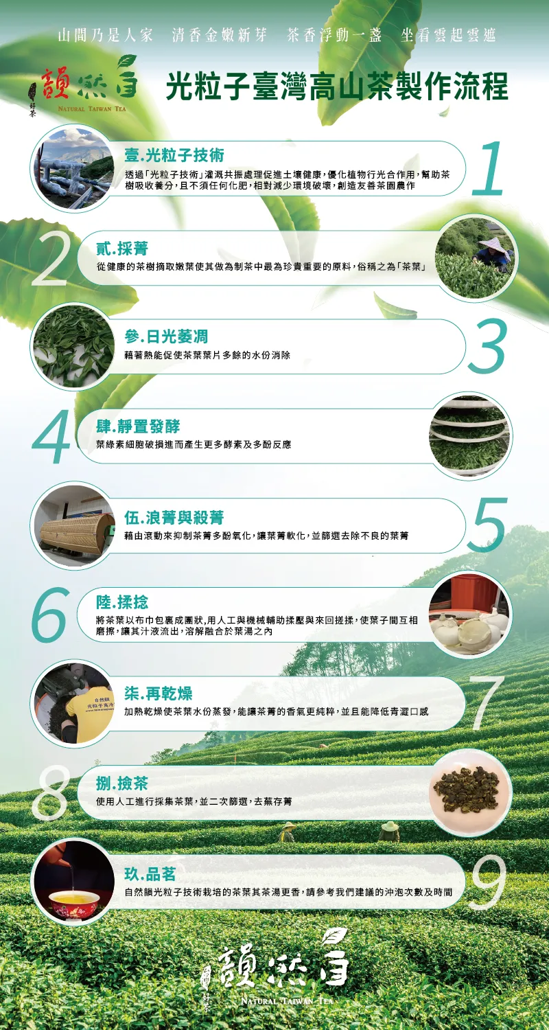 網站重整設計 : 自然韻光粒子臺灣高山茶 202505 3 網站重整設計 : 自然韻光粒子臺灣高山茶 202505